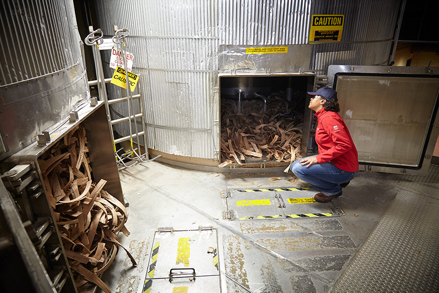 Beechwood Aging Process